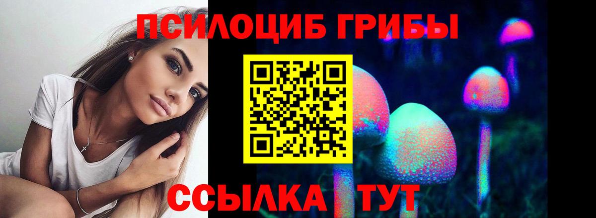 Галлюциногенные грибы Psilocybine cubensis  Вход с VPN  Галлюциногенные грибы мухоморы  как найти   Артём 