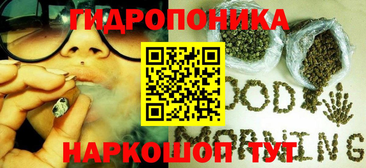 Псилоцибиновые грибы Артём